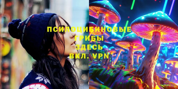 гидра Кинешма